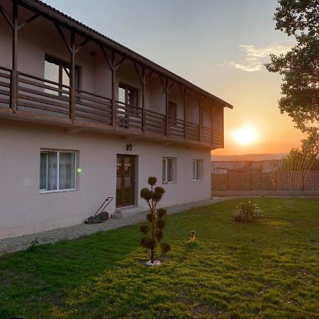 Pensiunea Alin Hotel Sisesti  Exterior foto