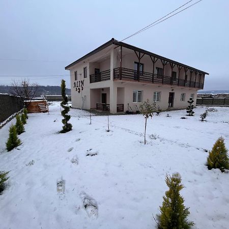 Pensiunea Alin Hotel Sisesti  Exterior foto