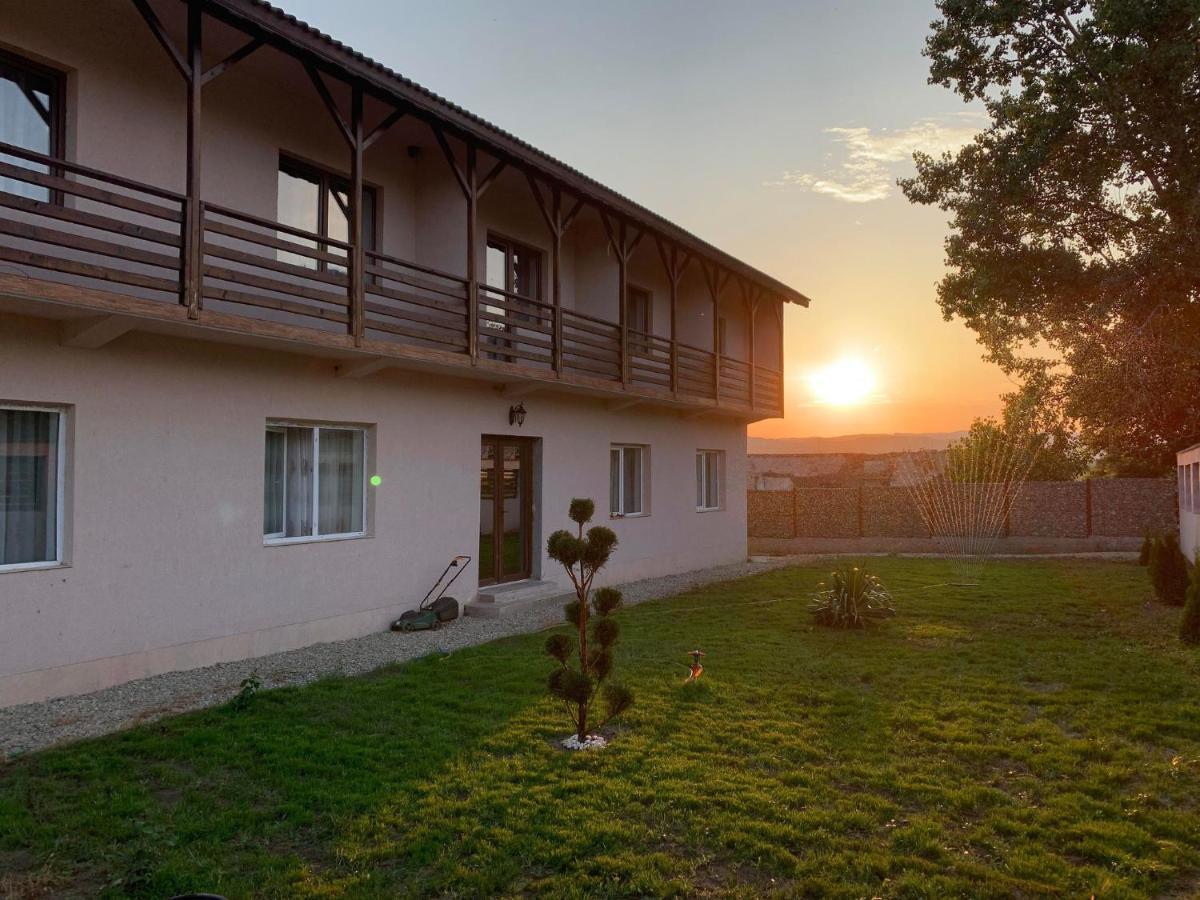 Pensiunea Alin Hotel Sisesti  Exterior foto