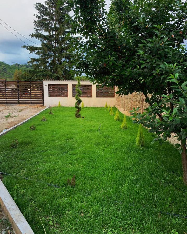 Pensiunea Alin Hotel Sisesti  Exterior foto