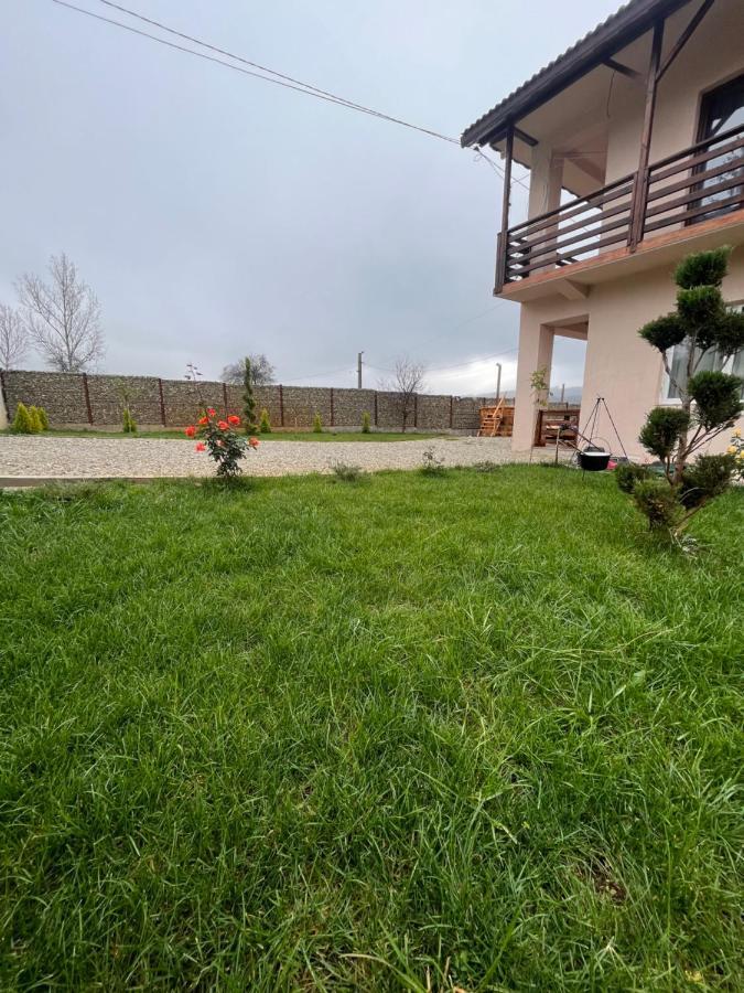 Pensiunea Alin Hotel Sisesti  Exterior foto
